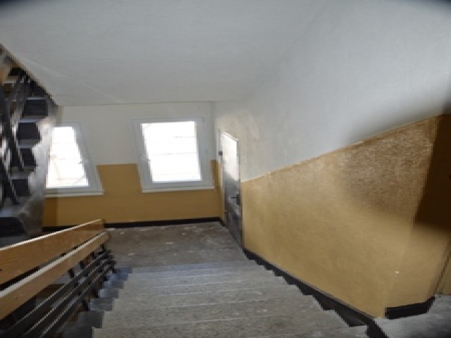 4237.JPG