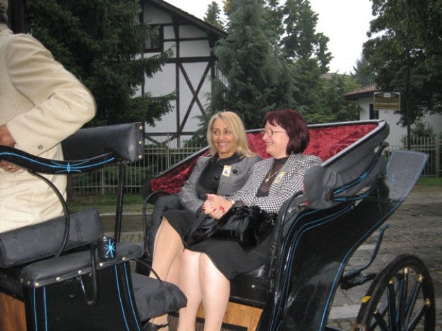 Picture%20013a.jpg